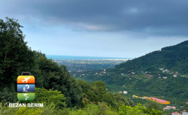 جنگل دالخانی
