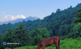 روستای جنت رودبار