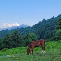 روستای جنت رودبار